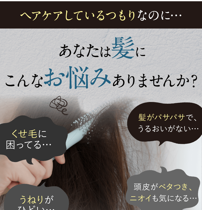 ヘアケアしているつもりなのにあなたの髪にこんなお悩みありませんか？　髪がパサパサで指通りも悪い　頭皮がべたつき匂いも気になる　枝毛だらけの毛先　髪がぺちゃんこで老けた印象
