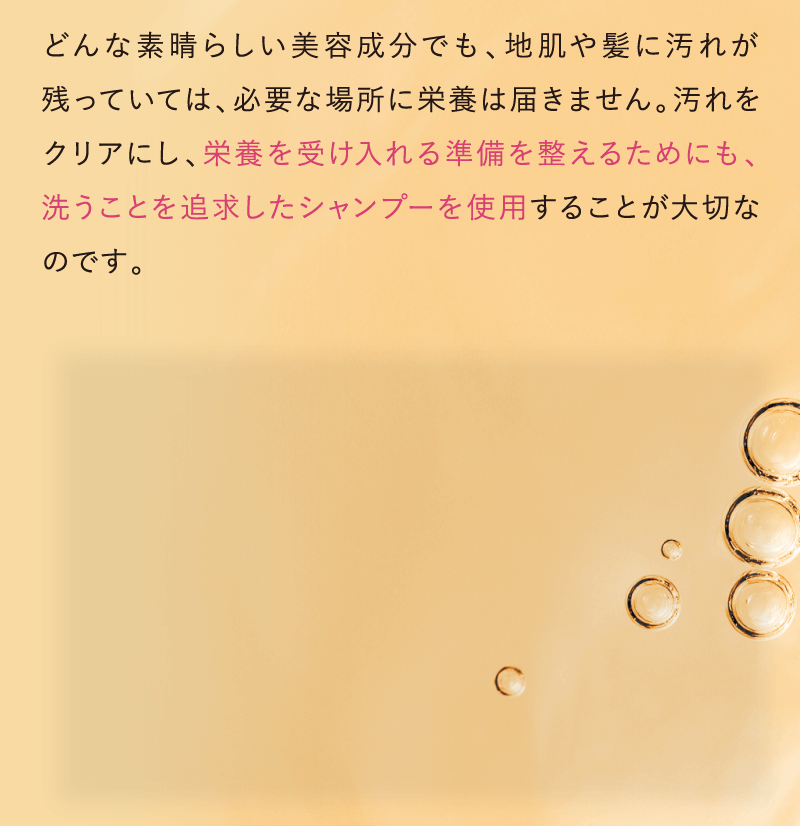 どんな素晴らしい美容成分でも、地肌や髪に汚れが残っていては、必要な場所に栄養は届きません。汚れをクリアにし栄養を受け入れる準備を整えるためにも洗うことを追求したシャンプーを使うことが大切なのです