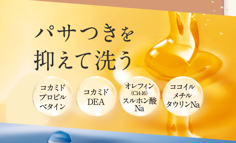 パサツキを抑えて洗う　コカミドプロピルビタイン　コカミドDEA　オレフィン（C１４−１６）スルフォン酸　ココイルメチルタウリンNa