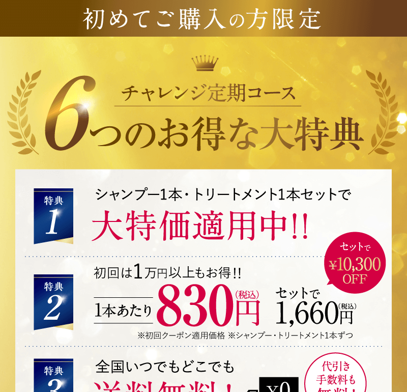 チャレンジ定期コース 6つのお得な大特典